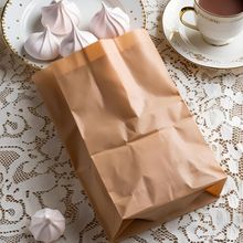 Load image into Gallery viewer, Saco kraft SOS LISO c/50un tamanho P Pluma