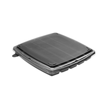 Load image into Gallery viewer, Embalagem Oriental GO902 Galvanotek c/20un