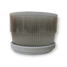 Load image into Gallery viewer, Embalagem para 1,5Kg G50MM Branca com Tampa Média Galvanotek c/10 un